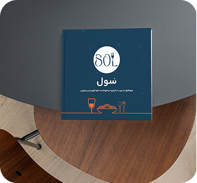درباره سول ۴