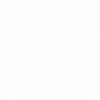 نسخه تحت وب سول